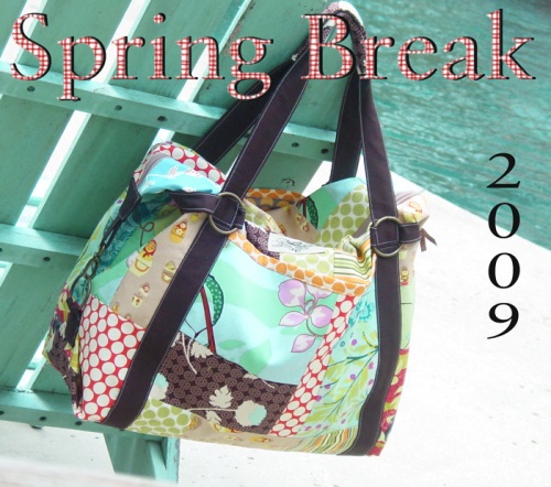 Spring Break Weekender Bag
